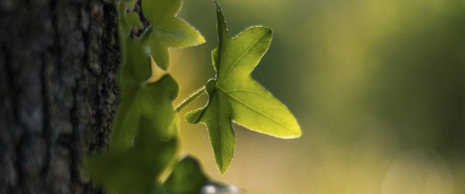 I&ordm; M&Oacute;DULO DE FORMACI&Oacute;N PROFESIONAL