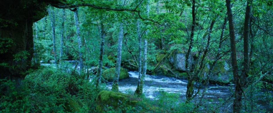 II&ordm; M&Oacute;DULO DE FORMACI&Oacute;N PROFESIONAL