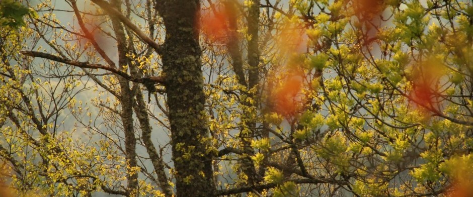 V&ordm; M&Oacute;DULO DE FORMACI&Oacute;N PROFESIONAL
