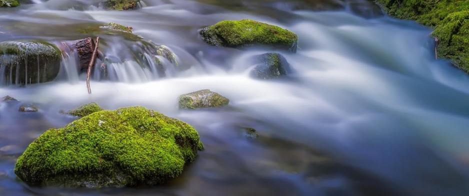 BIOAC&Uacute;STICA ESENCIAL